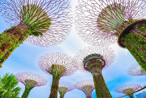 Save the Date: Asian Pacific Orthodontic Congress (APOC)